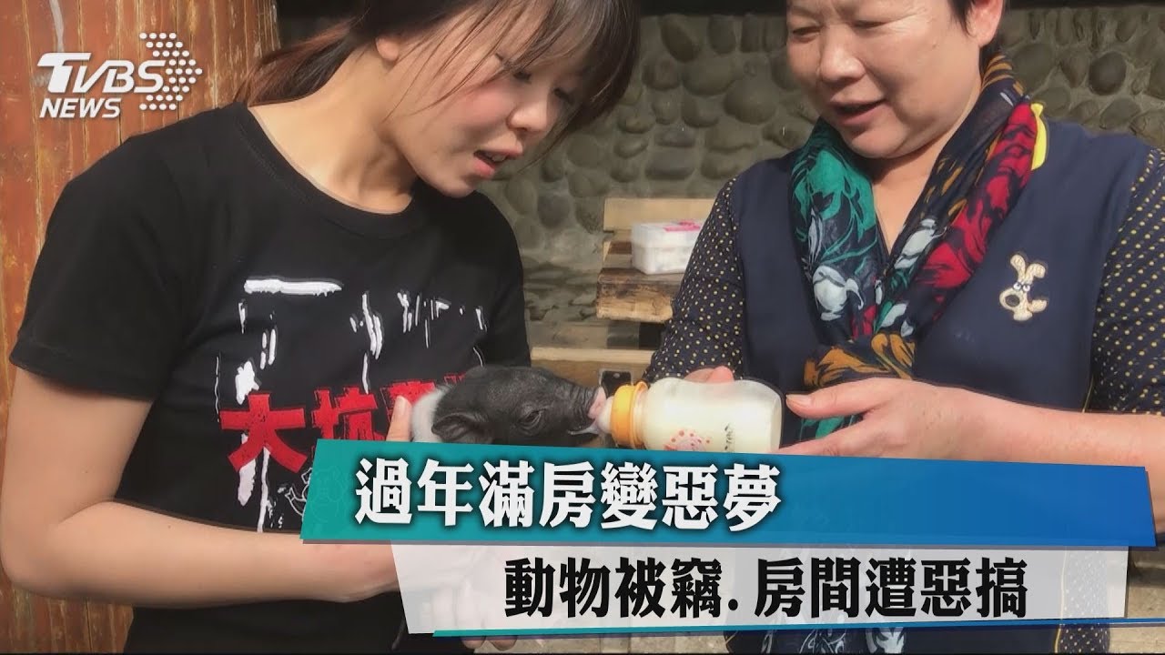 過年滿房變惡夢 動物被竊、房間遭惡搞