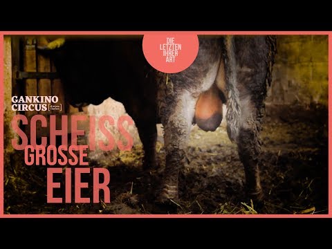 GANKINO CIRCUS - Scheiß große Eier | Official Music Video (2018)