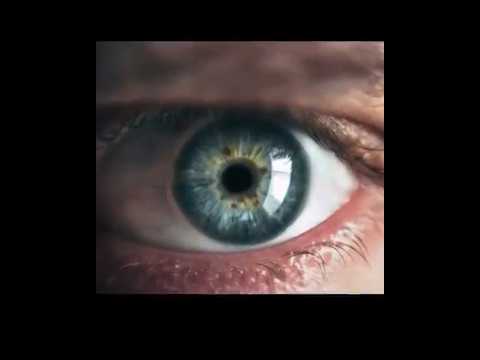 Arthur Emilio Ceratti-17
