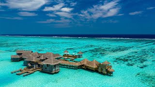 Hidden Sanctuary Gili Lankanfushi Maldives 5*