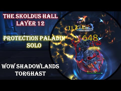 TORGHAST Layer 12 - The Skoldus Hall Walkthrough Guide - Prot Paladin POV Solo - WOW Shadowlands