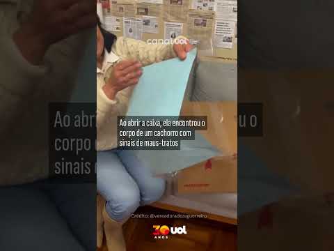 Vereadora defensora da causa animal recebe cachorro morto em caixa no Rio Grande do Sul; vídeo