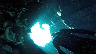 FREE SWIMMING FLORIDA COLD SPRING