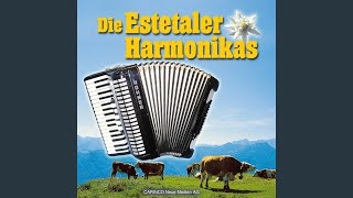 Musik-Video-Miniaturansicht zu Tief im Odenwald Songtext von German Folk