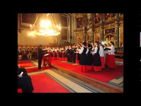 Stevan St. Mokranjac - Tebe Boga hvalim