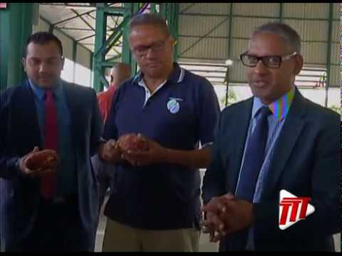 download lagu mp3 mp4 Produce Available, download lagu Produce Available gratis, unduh video klip Produce Available