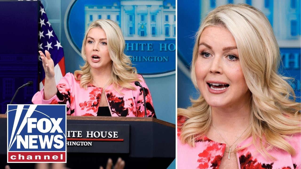 'That's NOT what I said!': Leavitt SHUTS DOWN reporter over Trump 'war crimes' question