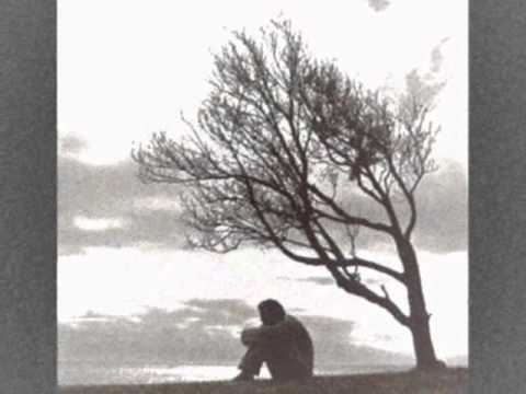 Washington-Black Wine