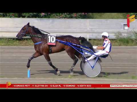 II Corsa del 7 Giugno 2023 - 3 Anni - Metri 1600