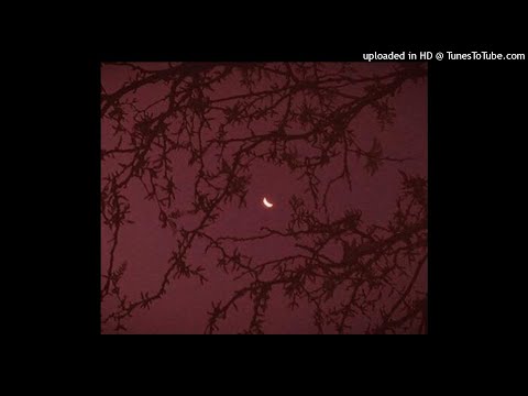 mlody korden - henna