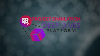 Project Simulation