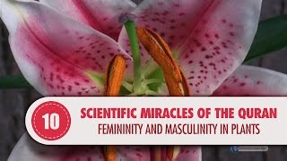 Video: In Quran 20:53, Trees and plants are  created in pairs of male & female - Quran Miracle