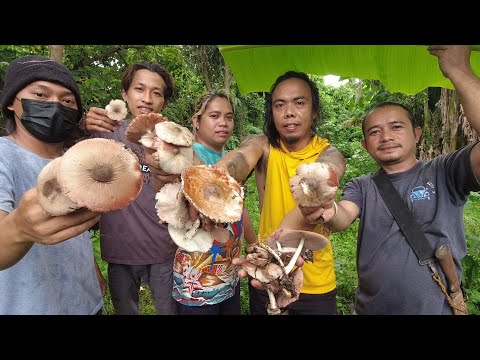 EP94 - SIKDOT na Naging NAPAKARAMING KABUTE | BUHAY PROBINSYA - San Pablo City, Lag