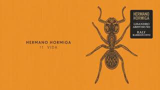 Hermano Hormiga - Vida Acordes - Chordify