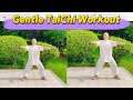BOOST Vitality Over 50 With Gentle SILVER Harmony Tai Chi For Seniors
