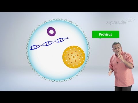 Biology - Virus and Bacteria - 1/4