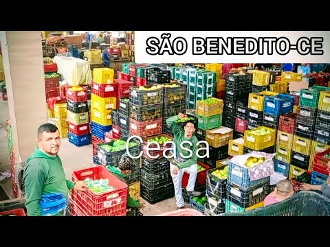 São Benedito-CE Ceasa 29/01/26.