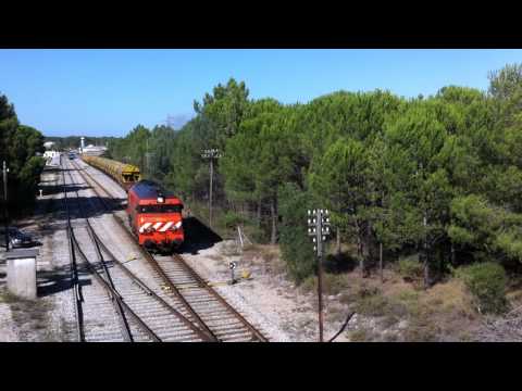 1908 com combio de cereais