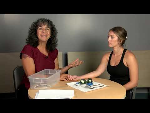 4 Sensory Testing: Stereognosis