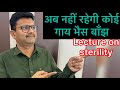 Sterility In Cow Buffalo L Dr Umar Khan