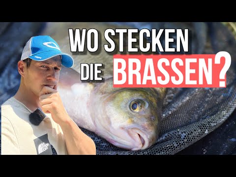 Feeder fishing on the new water! PART 2 - It's going to be difficult!