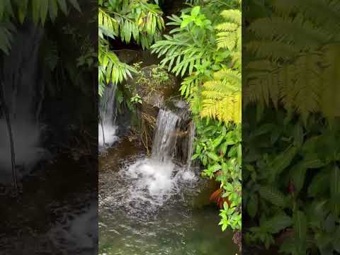 Big Island Hawai'i Waterfalls 'Akaka & Rainbow w  Relaxing, Soothing Dream Music