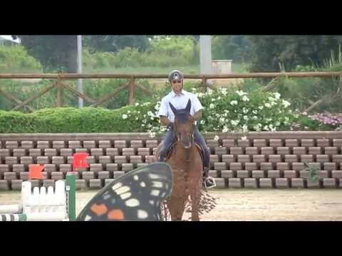 Stefano Nogara Navarone PS Z GP1manche HorsesRivieraResort