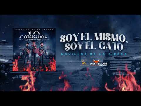 Novillos De La Sierra -  9.Soy El Mismo Soy El Gato  [Audio Oficial]