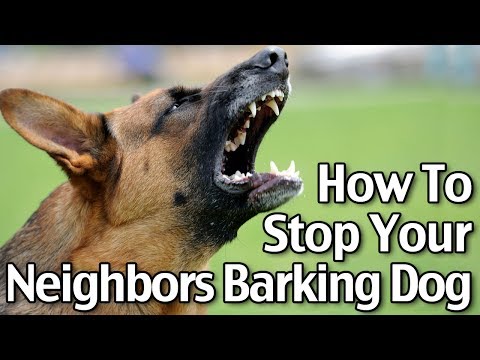 How To Stop Your Neighbor’s Dog From Barking - Short Version