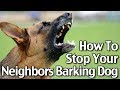 How To Stop Your Neighbor S Dog From Barking Short Version