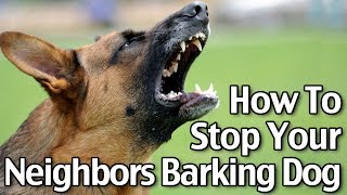 How To Stop Your Neighbor’s Dog From Barking - Short Version