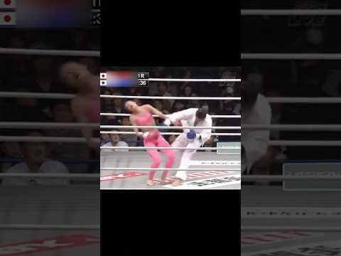 【クロスカウンターで両者KO】シュートボクシング vs 空手 #異種格闘技戦 #mma #ufc