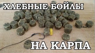 Как и на какие насадки ловли карпа в августе