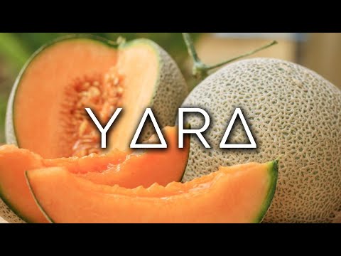 1449-IT Laura, YΔRΔ - Ipnosi Esoterica ∞ Lucio Carsi