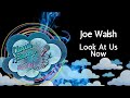 Joe Walsh - Look At Us Now - karaoke - instrumental