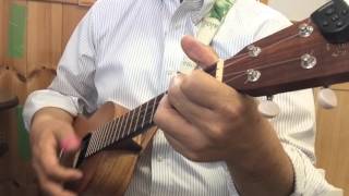 HE ALOHA NO O HONOLULU