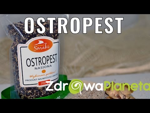 Żywych i martwych wody na impotencję Ko-perineva i wpływ na siłę