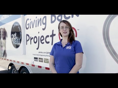 Spca Mobile Clinic Volusia County Schedule