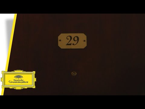 Chilly Gonzales & Jarvis Cocker - Room 29 (Teaser)