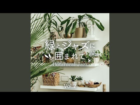 あなたの庭で名誉ある場所にふさわしい景観のバラの茂みを植えて維持するにはどうすればよいですか？  庭園