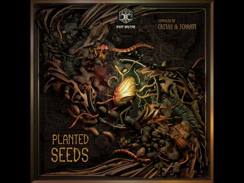 Douady Rabbits - Dafuq