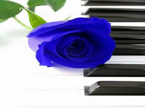 MDLJ - Quand je perdis mes illusions