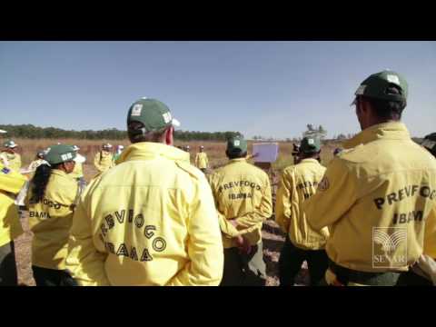 SENAR teaches fire prevention and fighting techniques in agriculture.