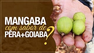 Miniatura do vídeo