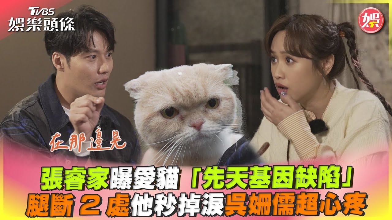 影音/張睿家曝愛貓「先天基因缺陷」 腿斷2處他秒掉淚吳姍儒超心疼