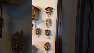 Vintage German novelty cuckoo clocks! It’s a little cuckoo in the clock doctor shop right now!