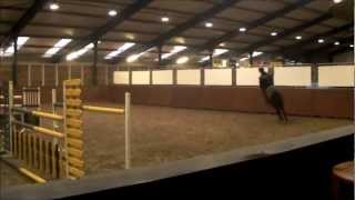 preview picture of video 'Dutch sporthorses - Bella donna jumping video'