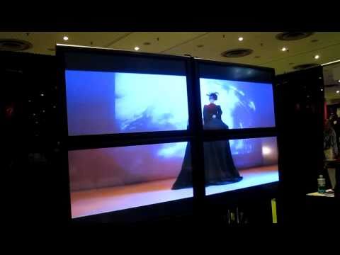 R. Sky Palkowitz The Delusional Diva, Yozmit video showcase at Video Lounge 2010