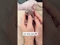 Sphynx Kittens so cute 12 #shorts
