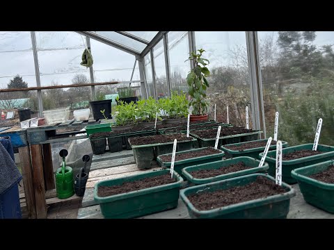 No 176 - Ready, Steady, Sow! The Growing Season Begins ……..